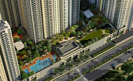 Codename Live in Style Images