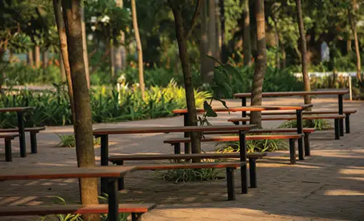 Codename Live in Style Images