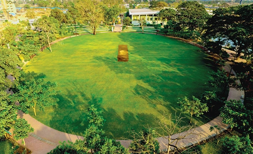 Codename Live in Style Images