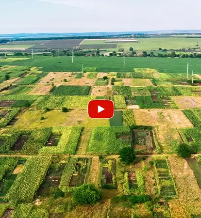 NewPreLnch Dombivali East